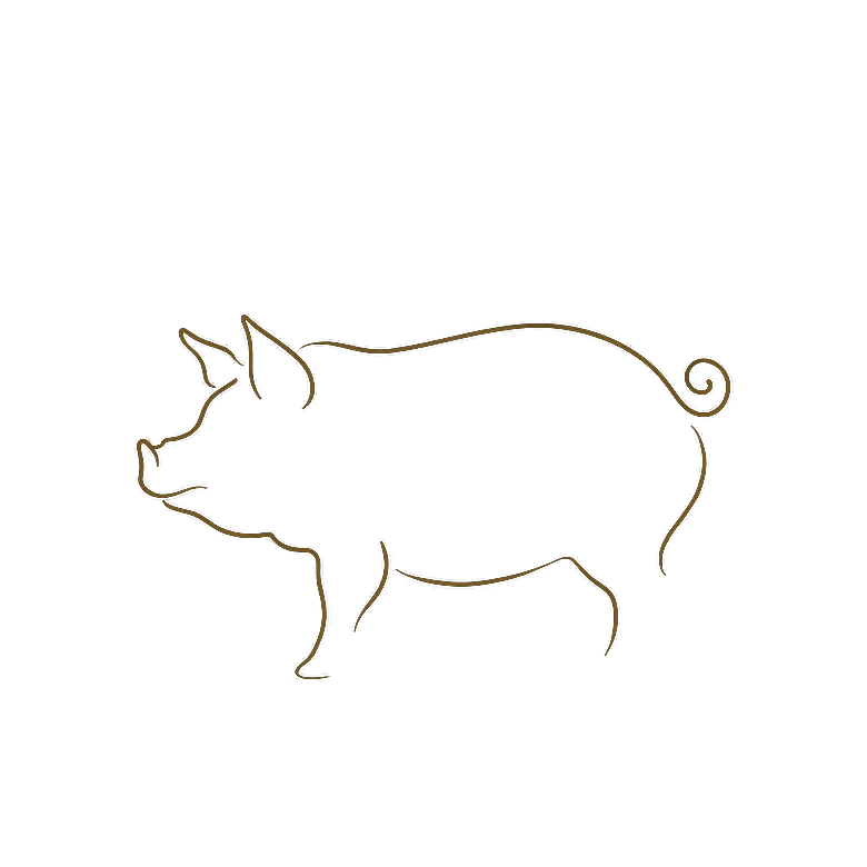Pig Chinese zodiac line art