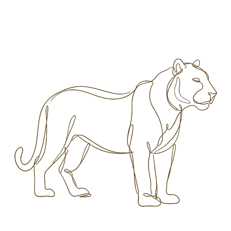 Tiger Chinese zodiac line art